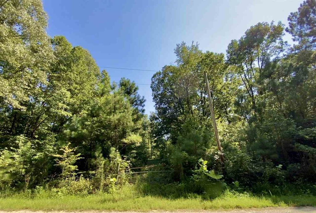 610 Wingo Levee Rd, Greenfield, TN 38230 Trulia