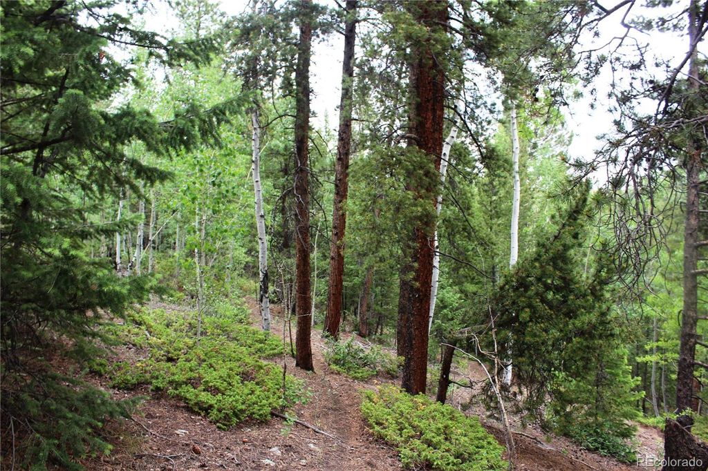 300 Golconda Mine Road Lot 18055, Central City, CO 80427 Trulia