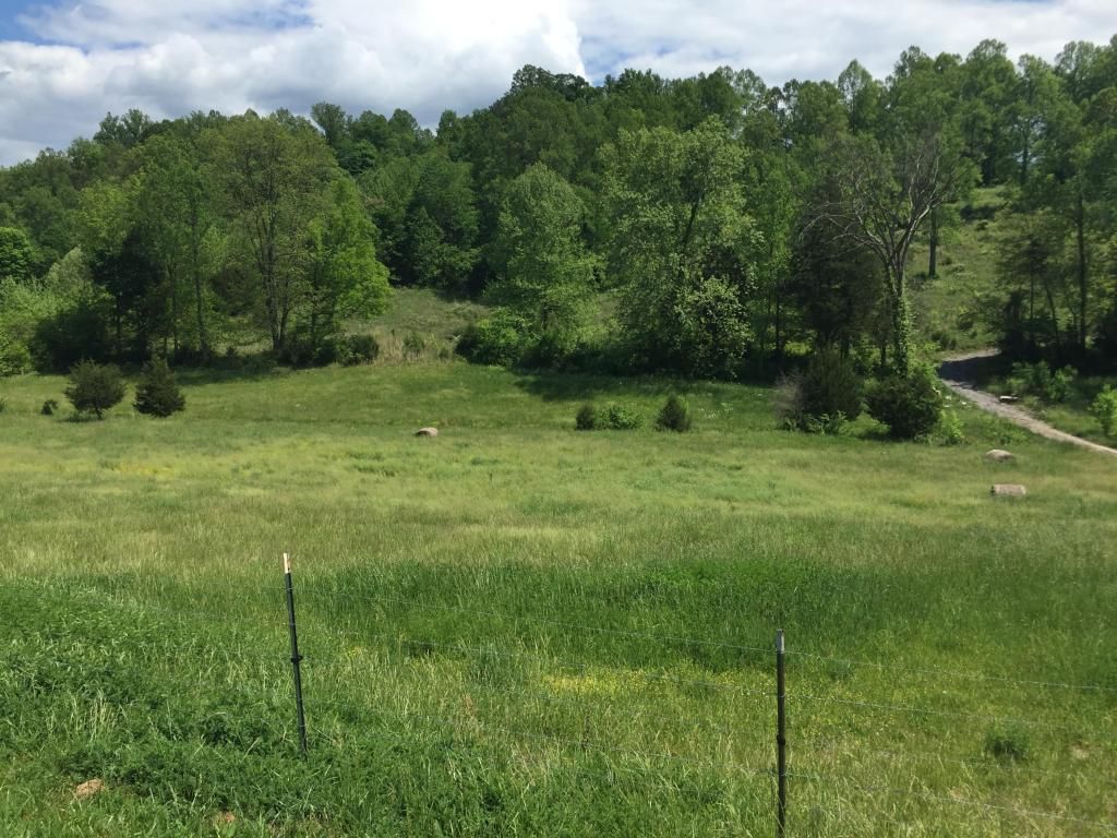 Maynardville Hwy, Maynardville, TN 37807 Trulia