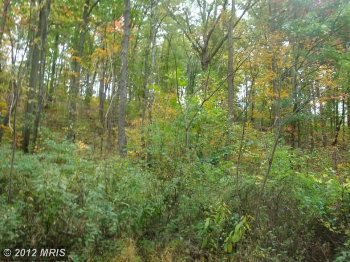 Barrelville, Mount Savage, MD 21545 Trulia