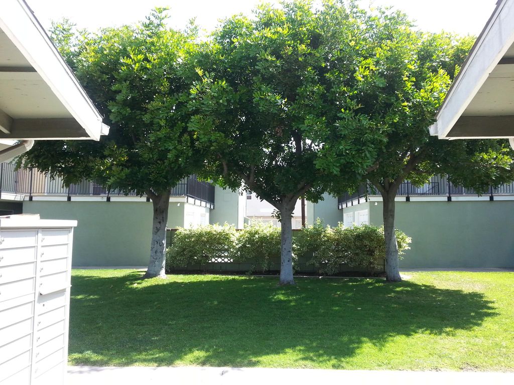 Event Decor