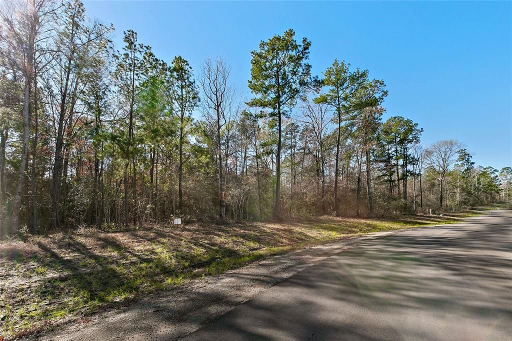 186 Exploration Rd, New Waverly, TX 77358 MLS 59850575 Trulia