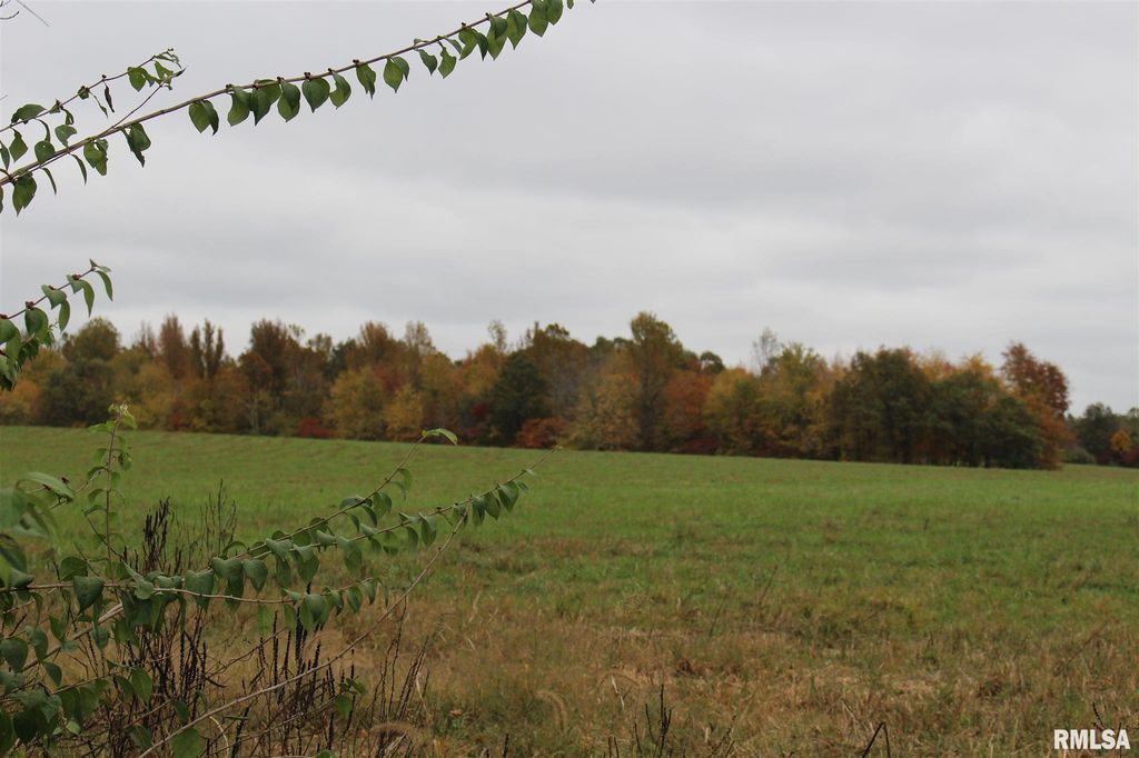 Mount Pleasant Rd, Brookport, IL 62910 Trulia