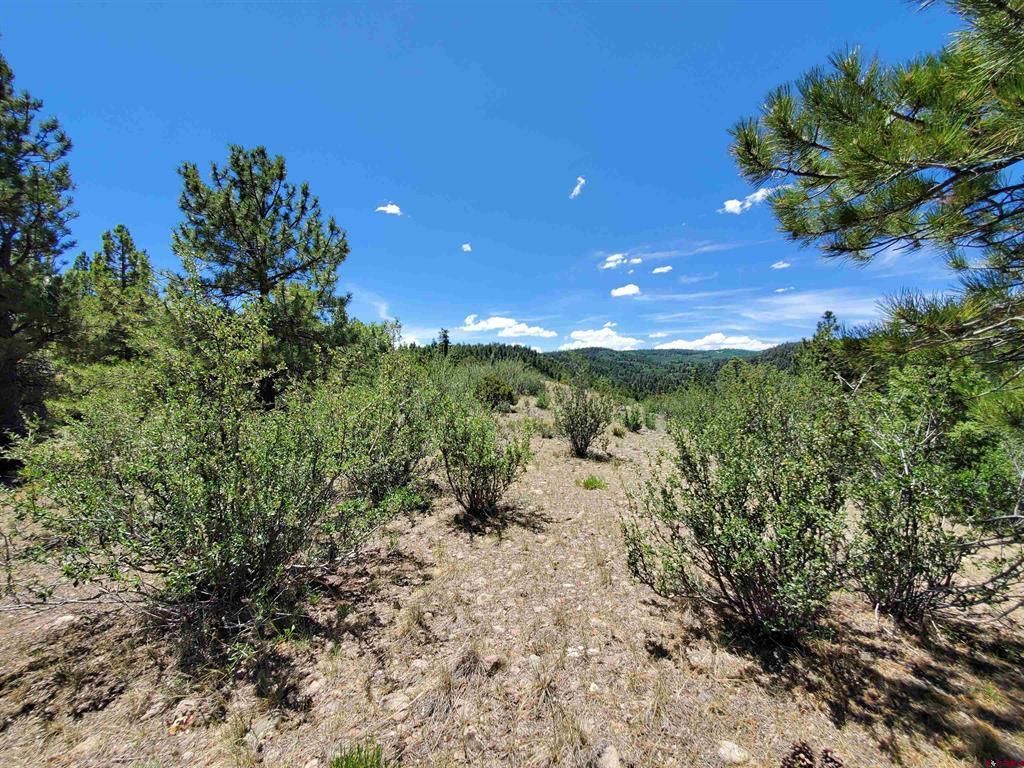 Lot Eight North Rito Hondo Ct, Antonito, CO 81120 MLS 795392 Trulia