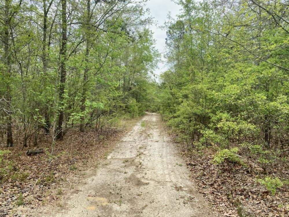 Sand Dam Rd, Wagener, SC 29164 Trulia