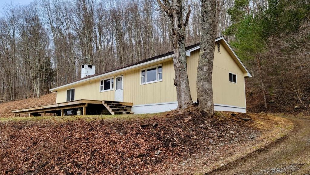 8993 State Highway 30, Downsville, NY 13755