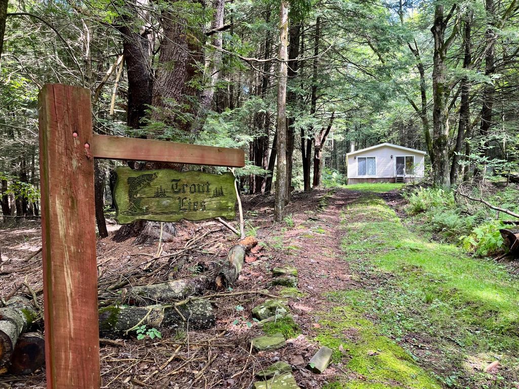 Thunder Rd, Deposit, NY 13754 MLS 11203389 Trulia