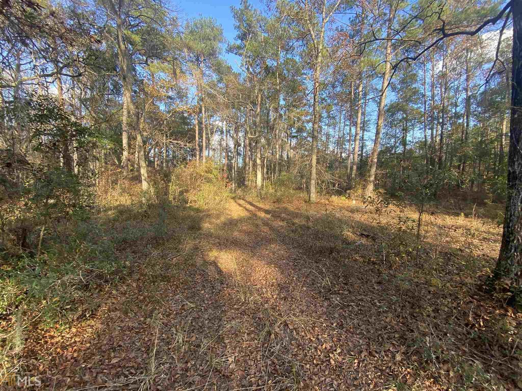 Old Jenks Tpke, Eden, GA 31307 Trulia