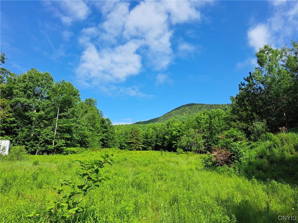 Little Tor Rd, Wilmington, NY 12997 MLS S1481041 Trulia