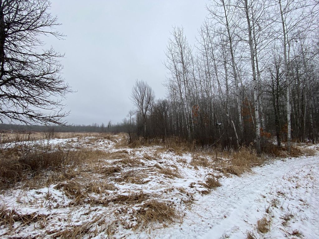 Loon Ave, McGregor, MN 55760