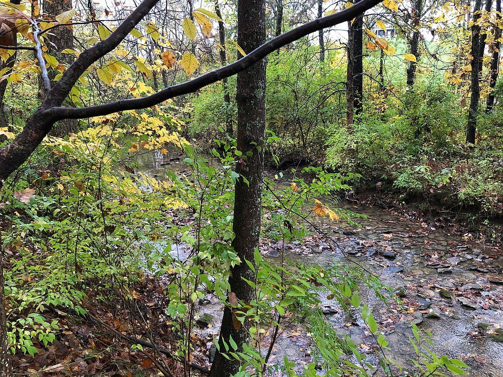 1093 Nantucket Way, Crittenden, KY 41030 Trulia