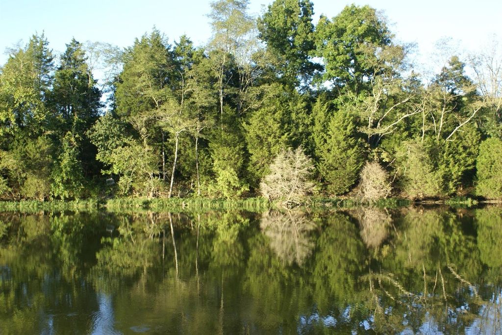 Elmer Davis Dam Rd, Owenton, KY 40359 Trulia