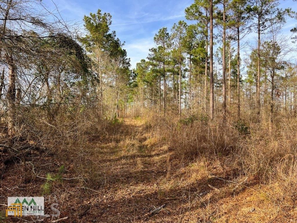 Highway 80 E, Wrens, GA 30833 MLS 20112555 Trulia