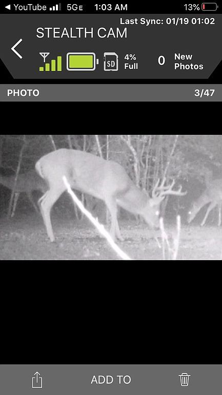 425 Woodlands Dr, Bastrop, TX 78602