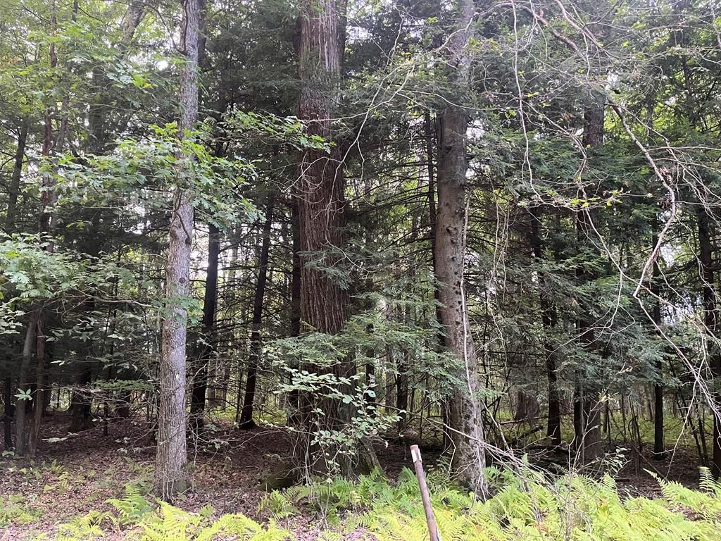 Campbell Hill Rd, Tidioute, PA 16351 Lot/Land for Sale MLS 160684