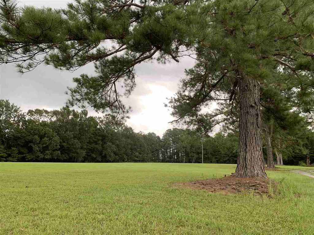 Coal Bluff Rd 1, Lena, MS 39094 Trulia