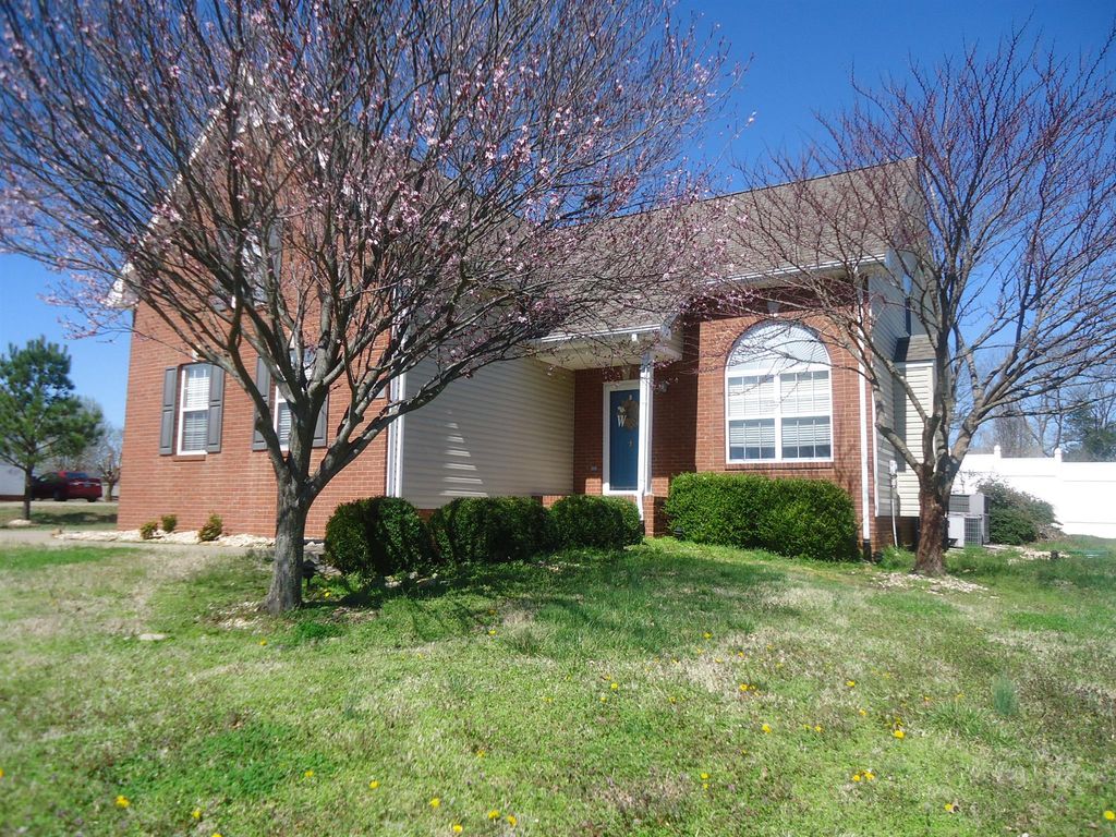 homes for rent in pleasant view tn