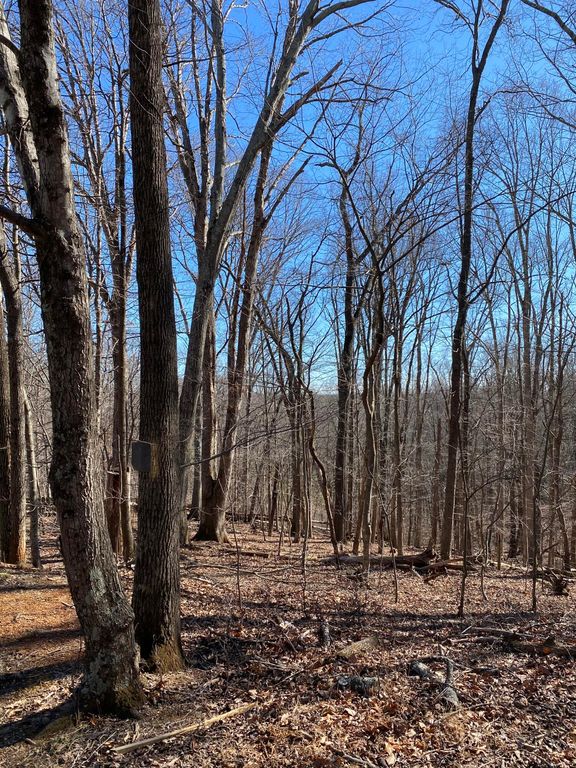 5 Deerfield Rd, Hardy, VA 24101 Trulia