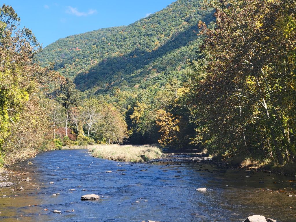 5154 1st Fork Rd, Sinnamahoning, PA 15861 MLS 23462 Trulia