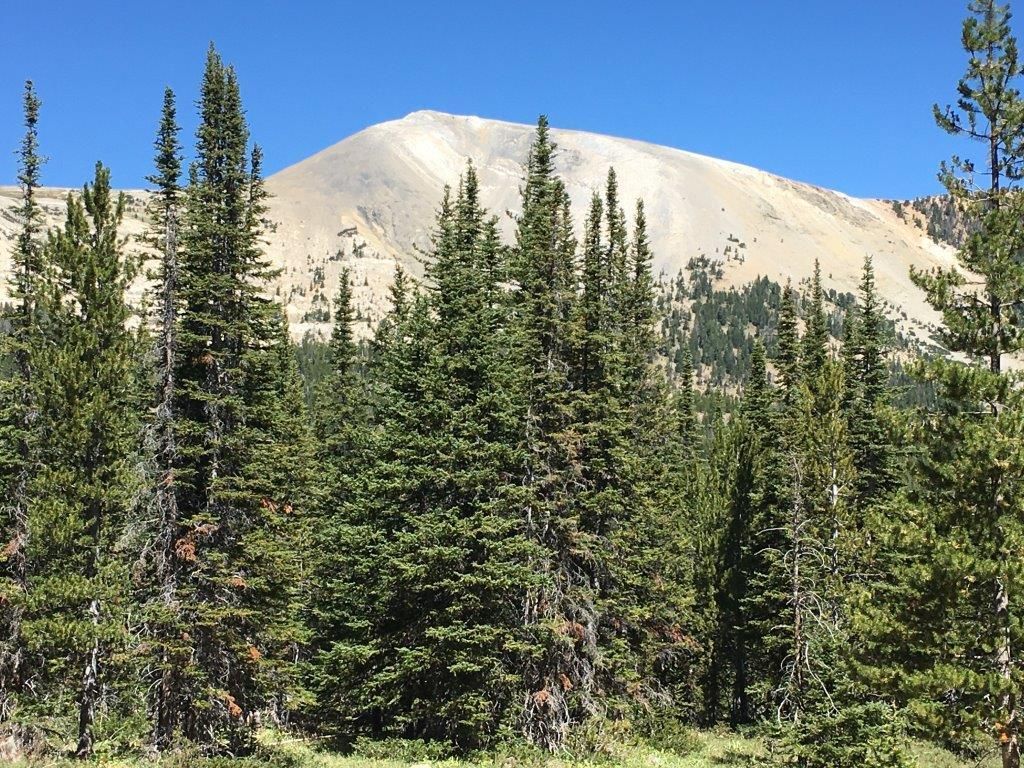 Moffett Trapper Creek Rd, Melrose, MT 59743 Trulia