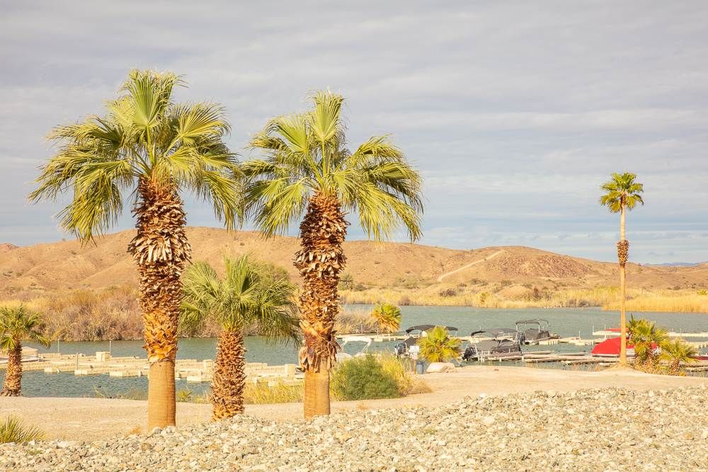 10300 E Martinez Lake Rd, Yuma, AZ 85365 Trulia