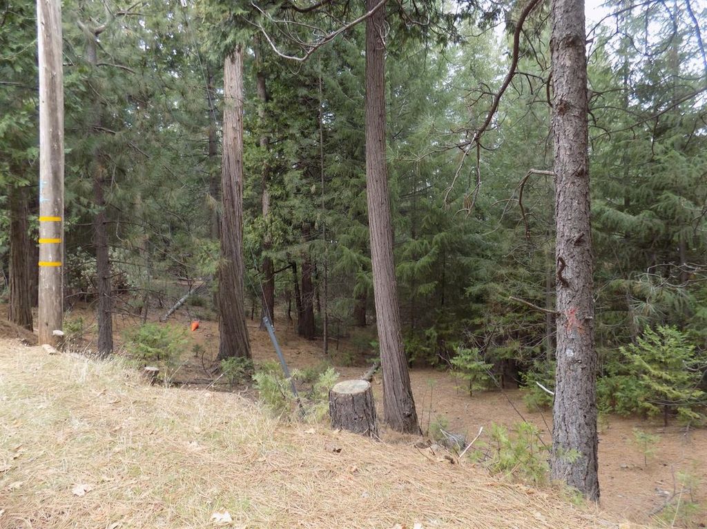 6995 Pioneer Dr, Grizzly Flats, CA 95636 Trulia