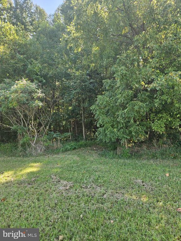 E  6th St, Ridgely, MD 21660