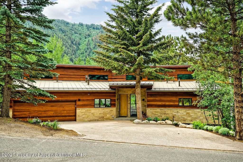 118 E Lupine Dr, Aspen, CO 81611