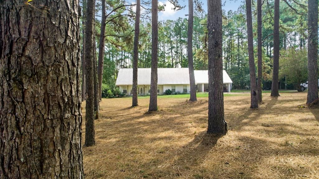 1049 Pinecrest Dr, MS 39648 MLS 20230535 Trulia