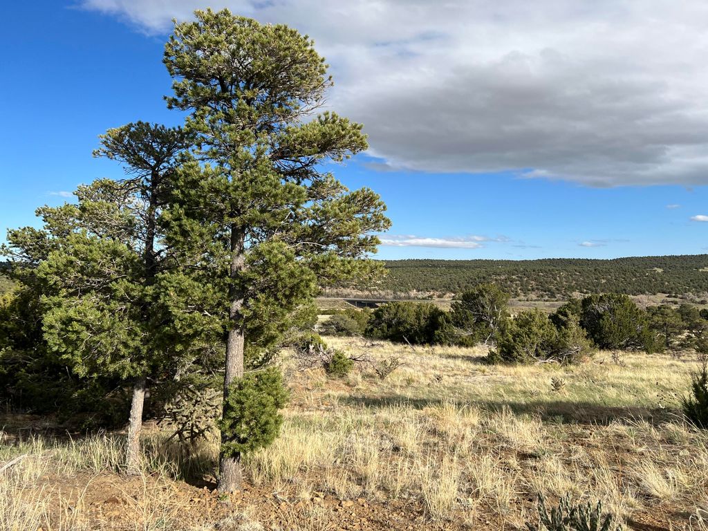 Black Diamond Park Block 232, Walsenburg, CO 81089 Trulia