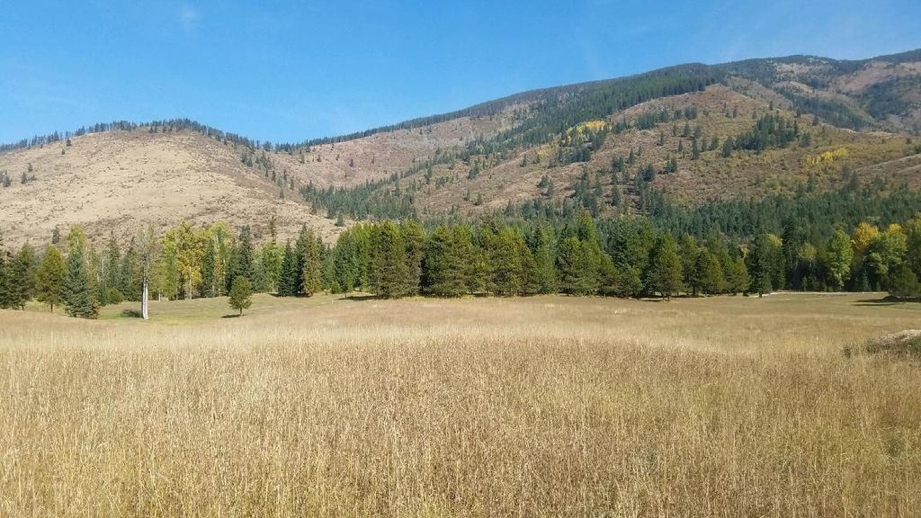 11 Bear Cub Ln, Trout Creek, MT 59874 Trulia