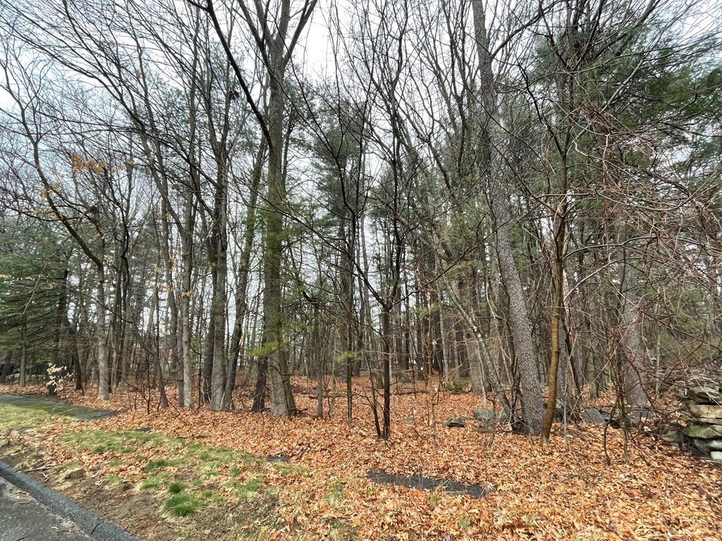 Damon Rd, Holden, MA 01520 Trulia