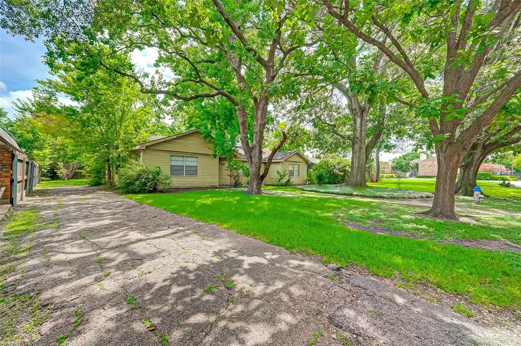 5217 Palmetto St, Bellaire, TX 77401