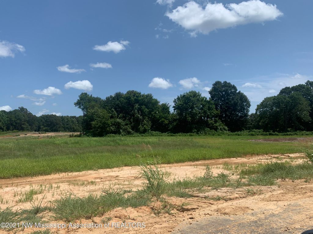 73 Pebble Cv S, Byhalia, MS 38611 MLS 2336924 Trulia