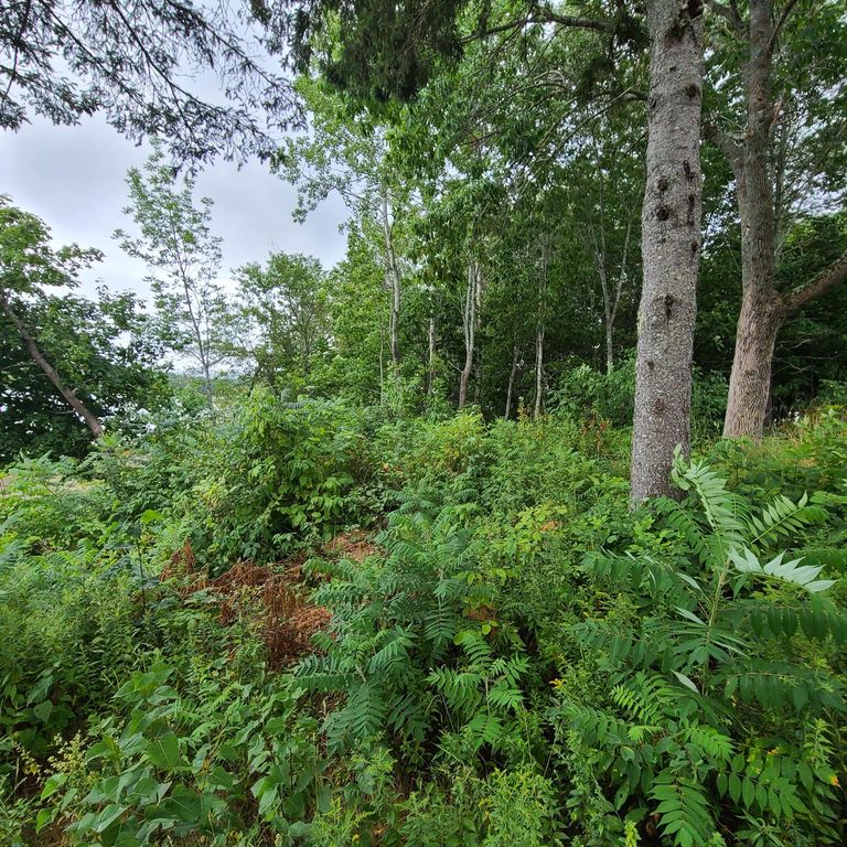 000 Kelly Lane Lot 36, Surry, ME 04684 Trulia