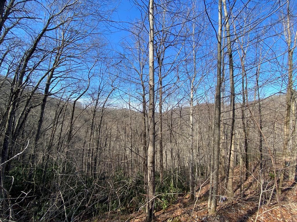 Alarka Creek Rd 38, Bryson City, NC 28713 Trulia