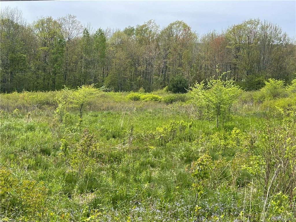 Basil Todd Road, Fleischmanns, NY 12430 MLS H6243809 Trulia