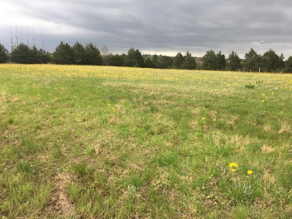 Park Ave, Waldron, AR 72958 Trulia