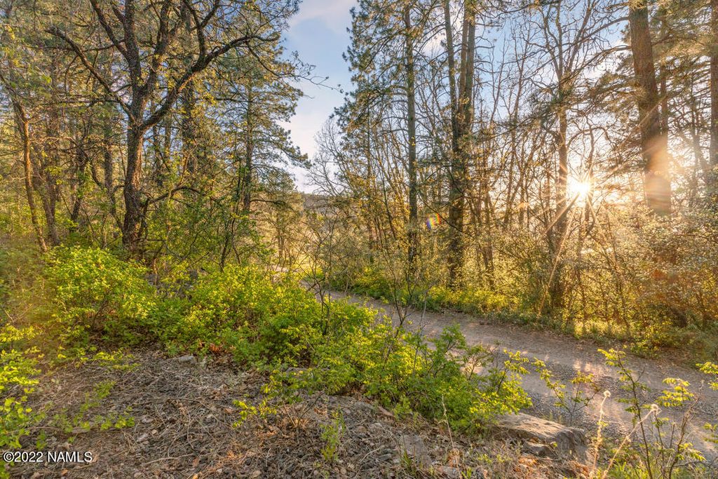 121 Ponderosa Dr, Mormon Lake, AZ 86038 Trulia