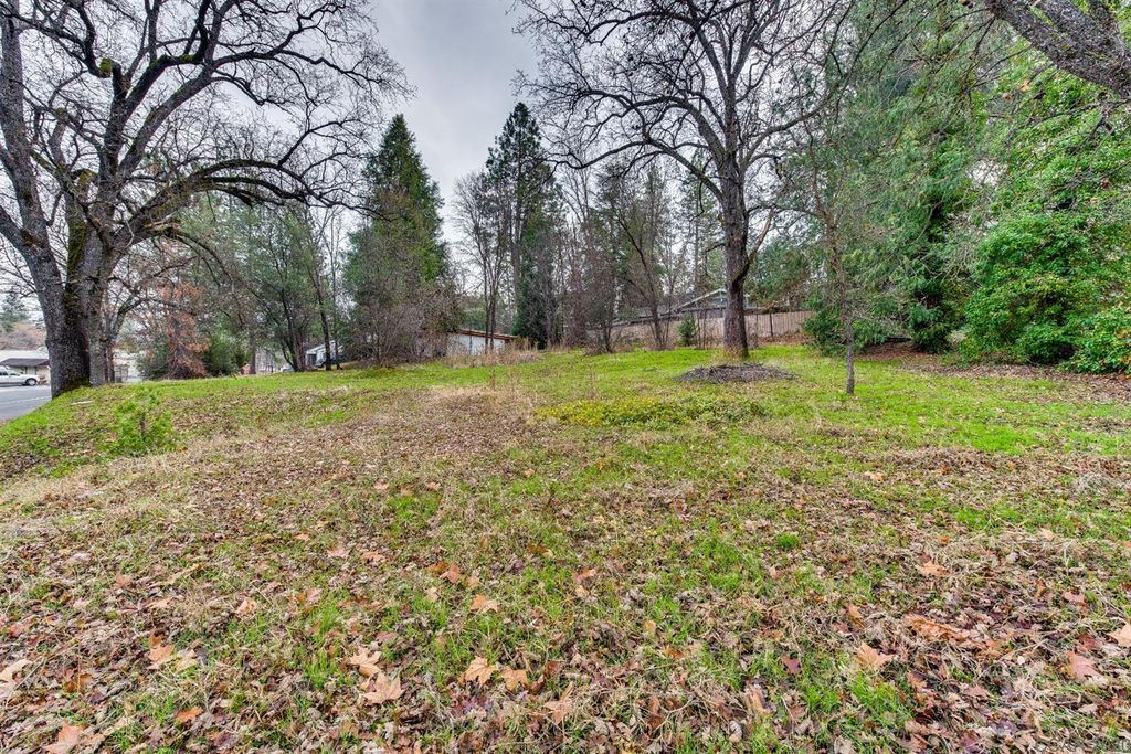 95 Main St #1, Murphys, CA 95247 - Lot/Land - MLS# 2002786 - 13 Photos