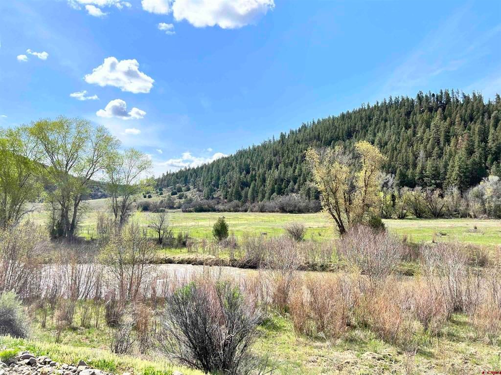 County Road 551, Pagosa Springs, CO 81147