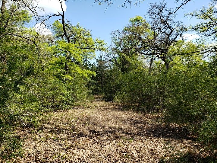 9597 Harris Rd, Bryan, TX 77808 Trulia