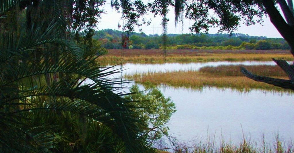 Address Not Disclosed, Saint Simons Island, GA 31522