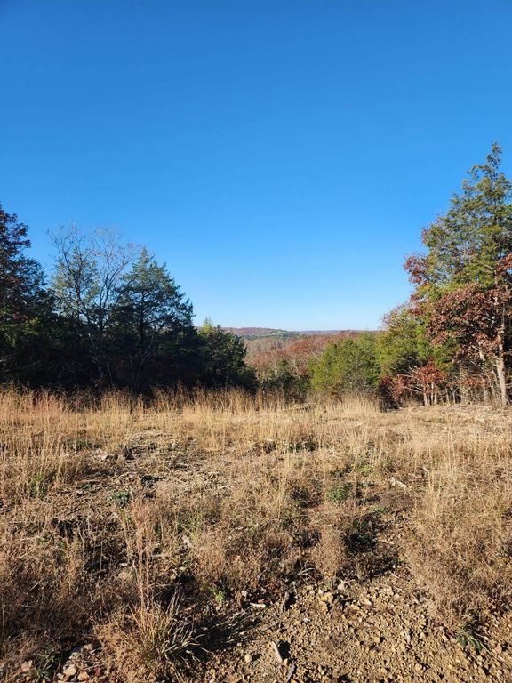 000a State Highway 125, Chadwick, MO 65629 MLS 60258311 Trulia