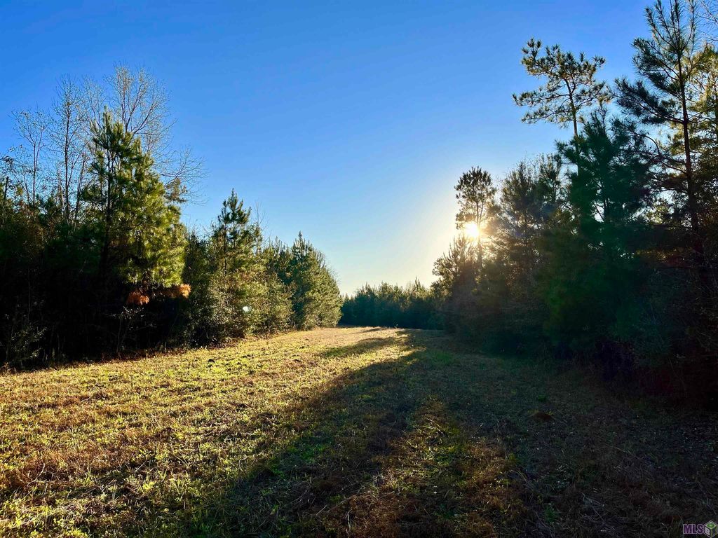 1 Highway 438, Franklinton, LA 70438 Trulia