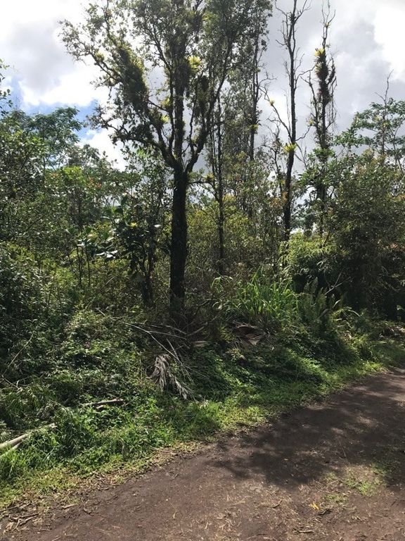 32 Silversword Ct, Kurtistown, HI 96760 Trulia