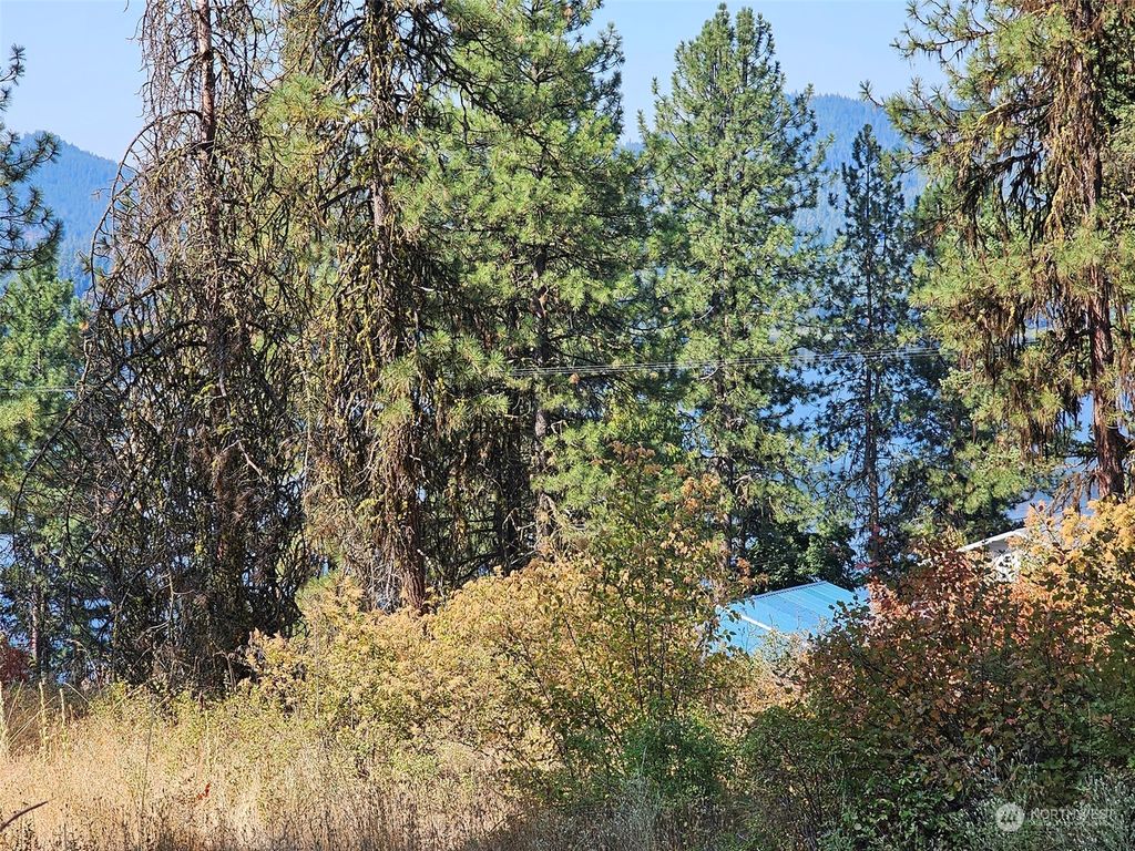 8 Chowichan Drive, Inchelium, WA 99138 MLS 2282067 Trulia