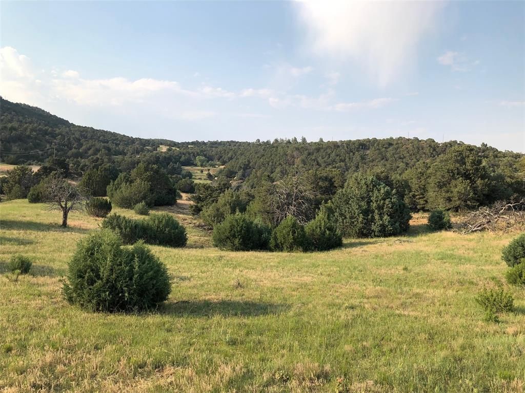 Lot 90 Rugby Mines Rd, Aguilar, CO 81020 Trulia