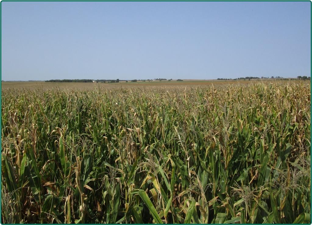 Co Rd, Lone Tree, IA 52755 Trulia