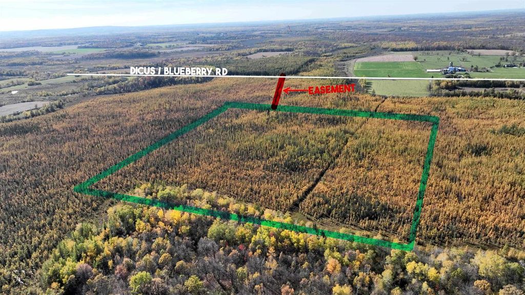 40Acres MOL Dicus Road, Ladysmith, WI 54848 MLS 1965448 Trulia
